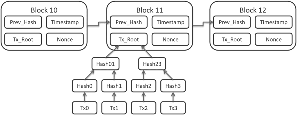 The structure of a block.